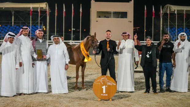 Horse beauty contest begins